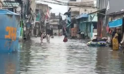 Banjir Rob Rendam Tiga RT di Pluit, BPBD DKI Jakarta Pastikan Penanganan Cepat