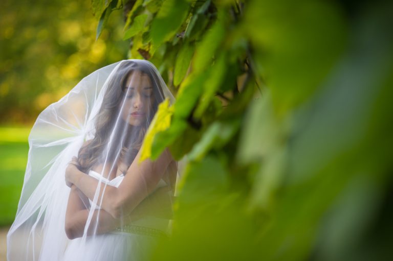 Veil