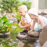 tips membersihkan kolam ikan