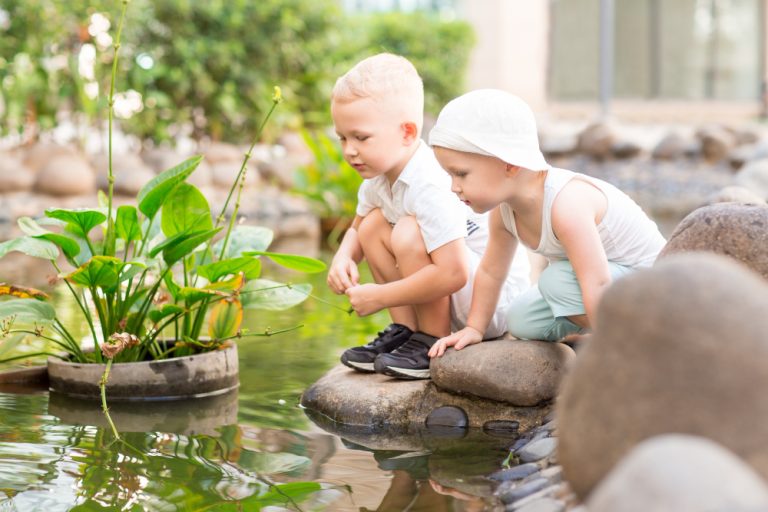 tips membersihkan kolam ikan