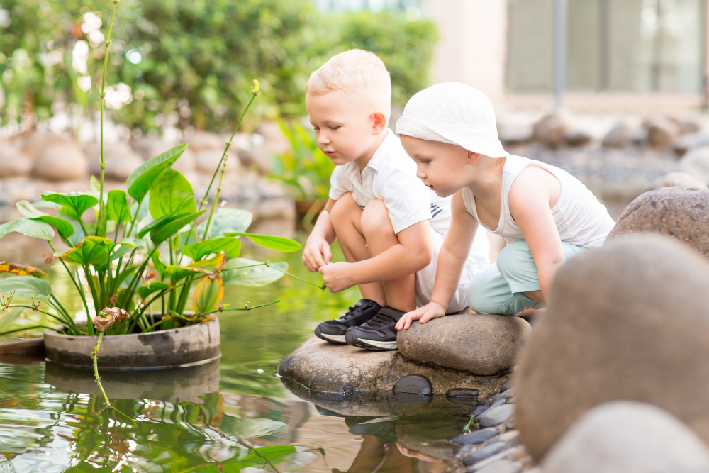 tips membersihkan kolam ikan
