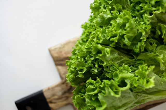 kandungan lettuce