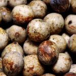 manfaat buah duku