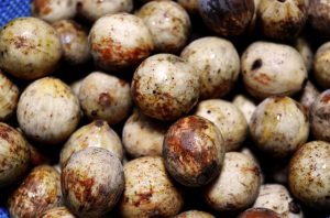 manfaat buah duku